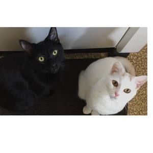 Meet your Posher, Marlene